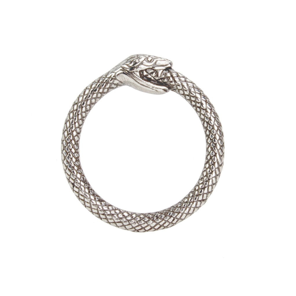Infinity Snake O-Rings, AS Nickel & Young 25mm (1")